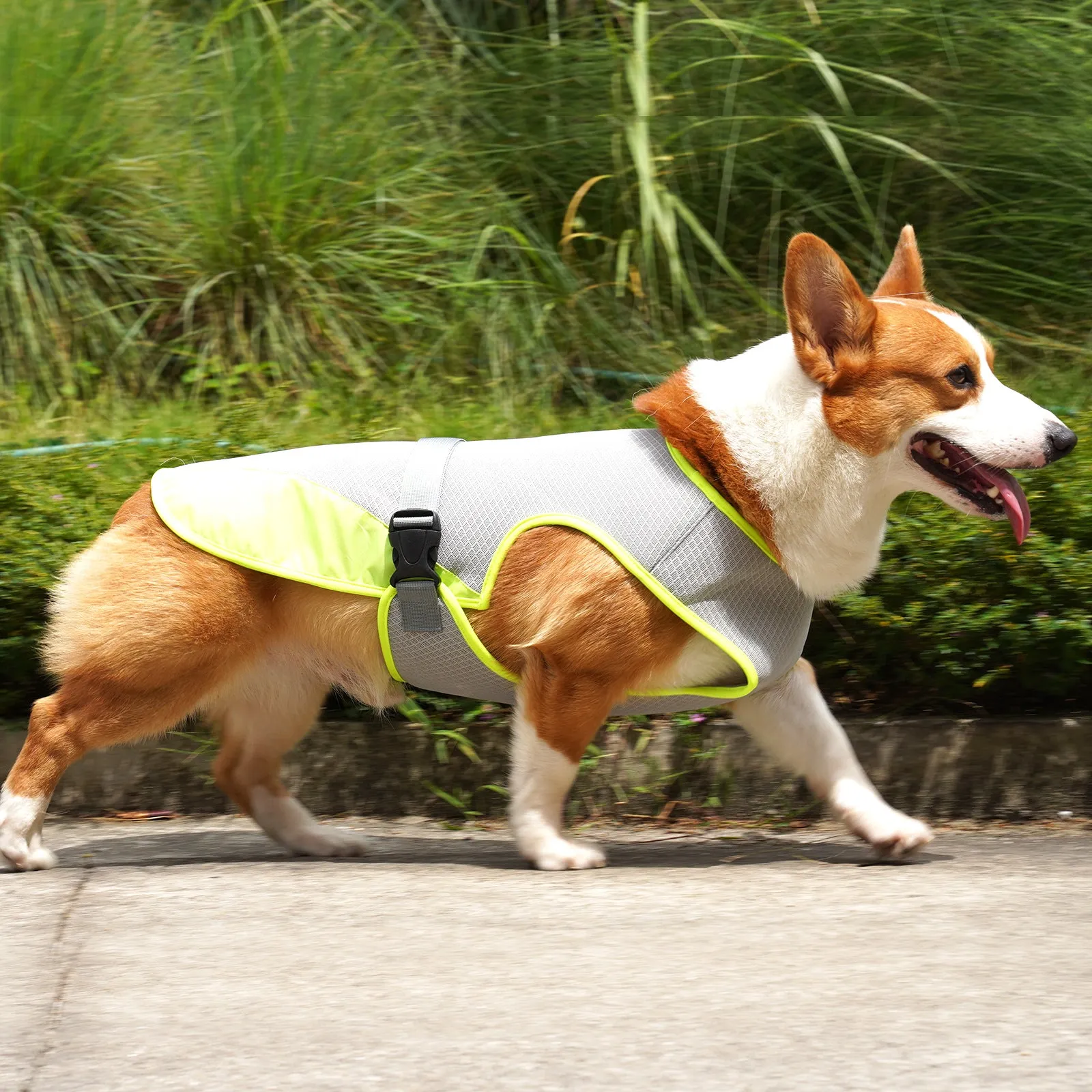 Cooling Dog Jacket