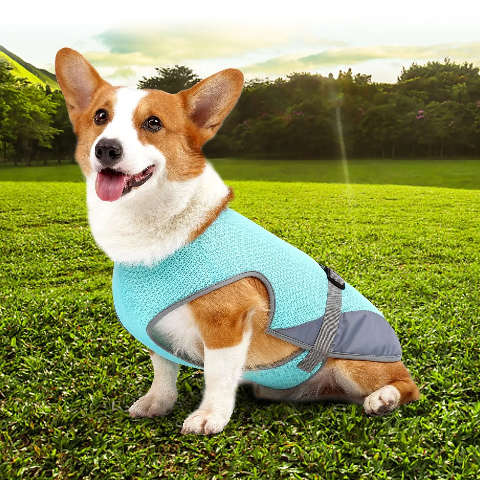 Cooling Dog Jacket