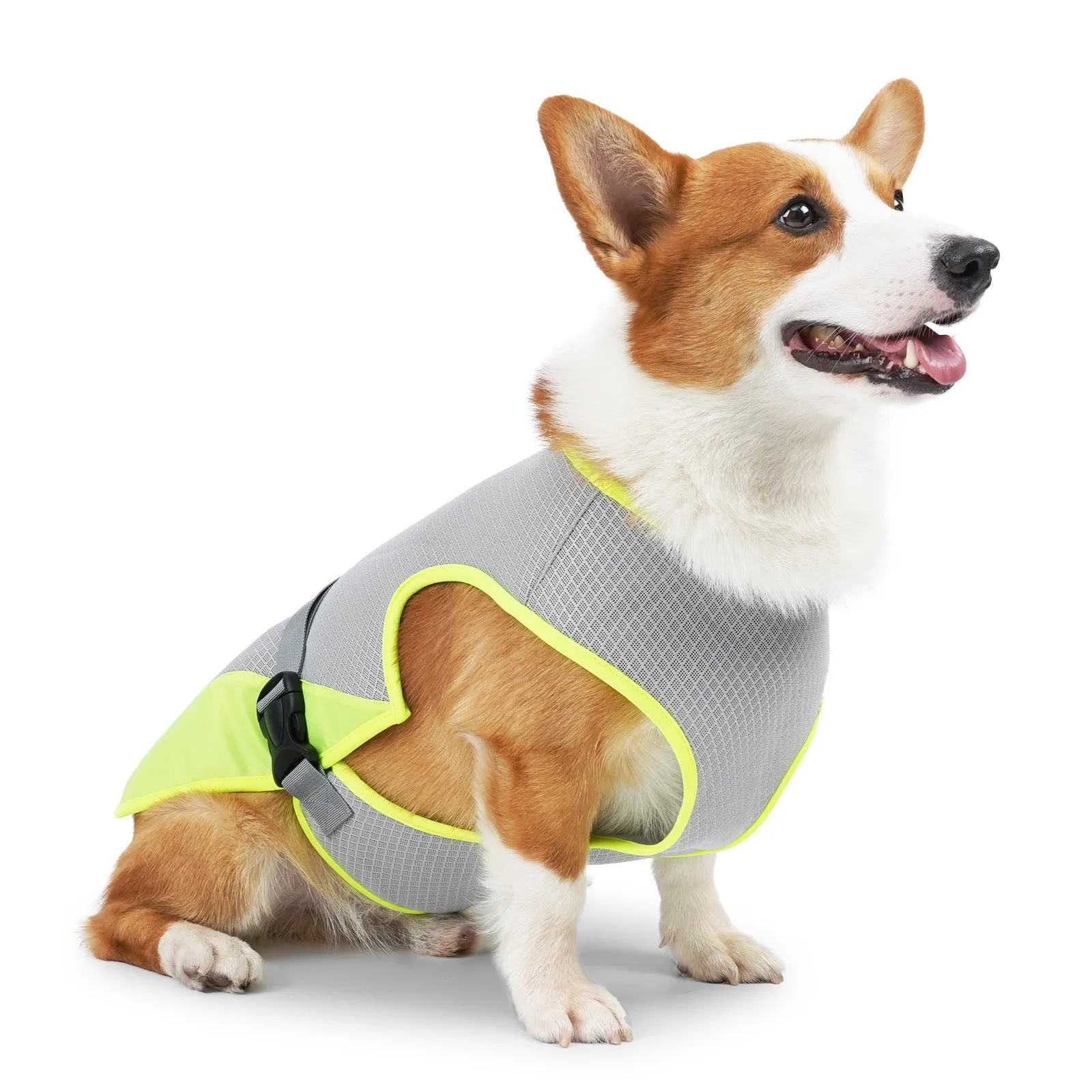 Cooling Dog Jacket