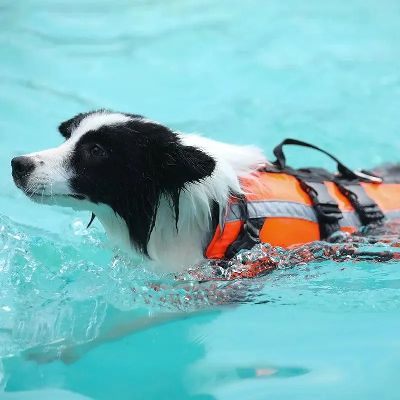 Dog Swimming Suit Life-Saving , Safe Cooling