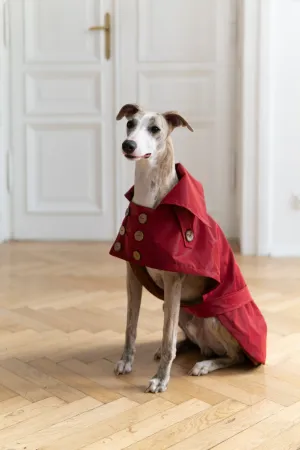 Water-repellent Dog Trench Coat - Burgundy Red